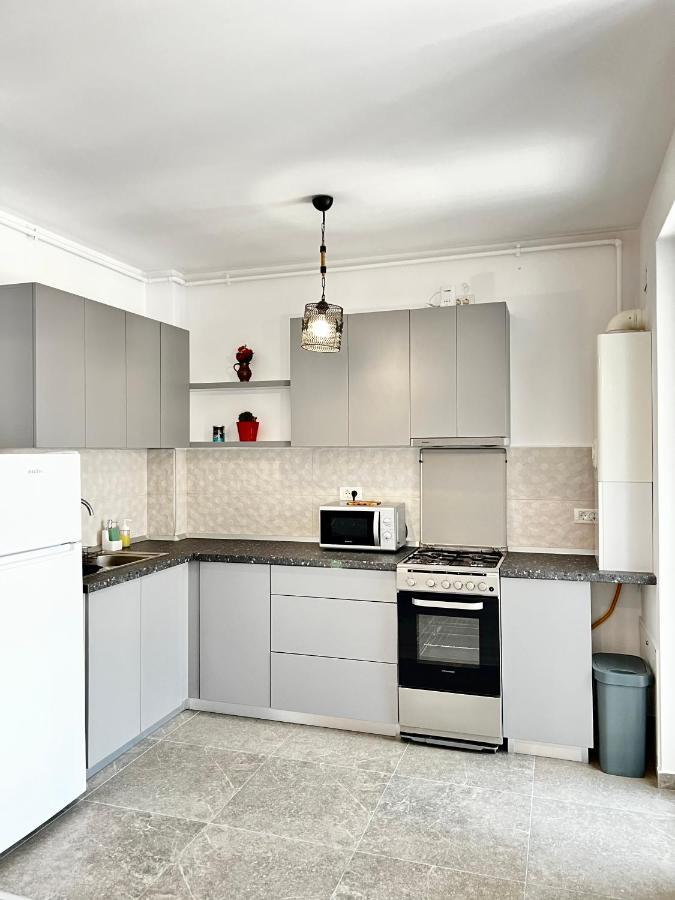Apartment Mara 2 Timisoara Luaran gambar